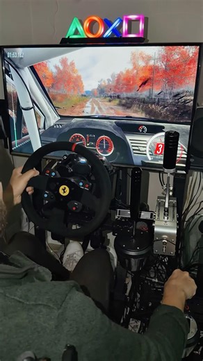 Rally from the cockpit view 🤯 INSANE REALISM #dirtrally2 #simracing #ps5 #thrustmaster