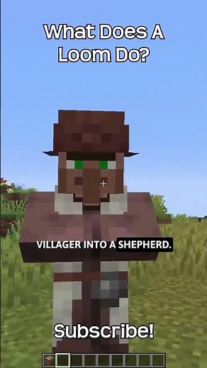 What Does A Loom Do, In Minecraft?!