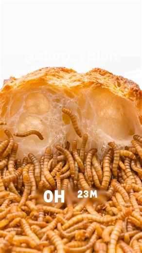 2.3K views · 18 reactions | Baguette slice vs tiny monsters 稜⚔️ | Slurp Vision - Worms Eating Timelapse | Facebook