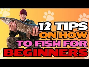 12 Tips on How to Fish for Beginners 🎣