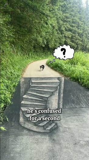 "The Impossible Stairs: An Incredible Optical Illusion!"