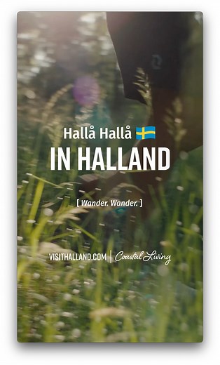 Wander durch eine der vielfältigsten Küstenregionen Skandinaviens und erlebe die wilde Natur sowie das schwedische Freiheitsgefühl. Mache Rast in einem der vielen gemütlichen Städtchen. | Visit Halland | Facebook