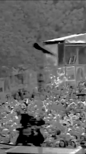 Mike_lyrics #lyrics #video