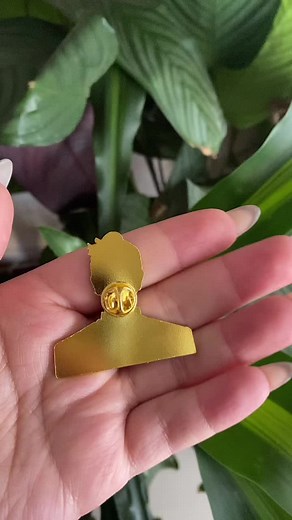 Descubre Pins de Jujutsu Kaisen que Te Encantarán