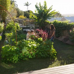 849K views · 23K reactions | How do you create a backyard of bliss that feeds the family and centres your soul?  Costa visits Katja, (@my_urban_edible_garden on Instagram) who's small but perfectly formed Sydney garden produces a variety of unique fruit and veg daily! | Gardening Australia | Facebook