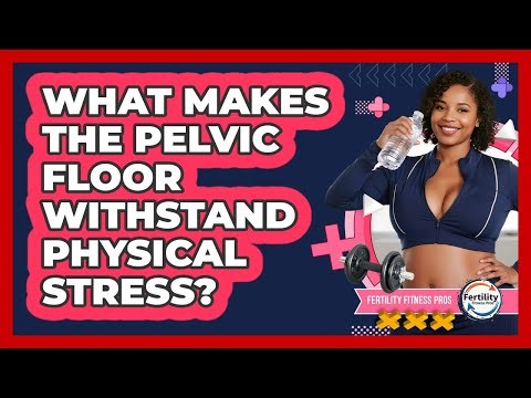What Makes The Pelvic Floor Withstand Physical Stress? - Fertility Fitness Pro