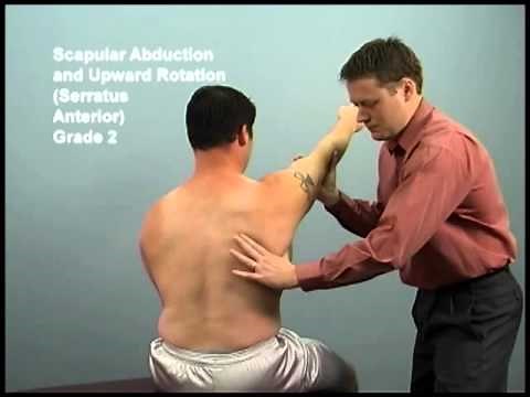 upper extremity scapular abduction and upward rotation (Serratus Anterior)