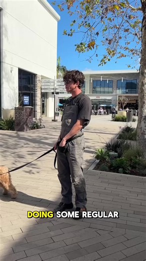 Helping Nervous Dogs Gain Confidence on a Leash