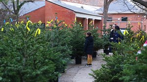 ▶️ #VÍDEO | Los beneficios de los árboles de Navidad naturales: "Algunos ecologistas los criticaron de manera infantil" 🎄 https://www.elindependiente.com/futuro/medio-ambiente/2023/12/19/los-beneficios-de-los-arboles-de-navidad-naturales-algunos-ecologistas-los-criticaron-de-manera-infantil/ | El Independiente