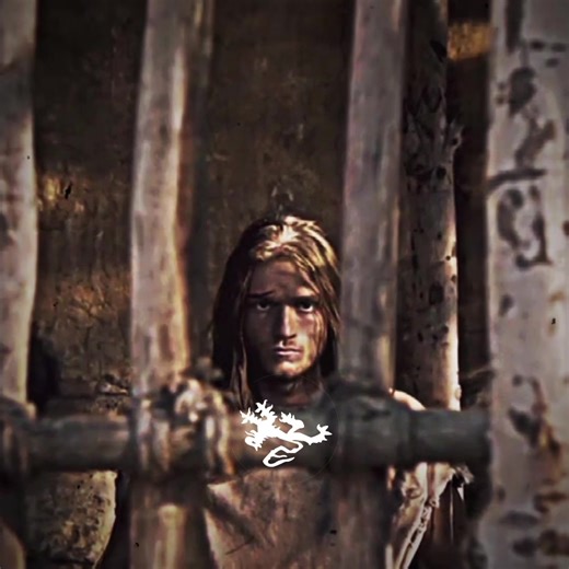 Sultan Baybars 🐺 #trtbelgesel #mamluk #baybars #edit #history