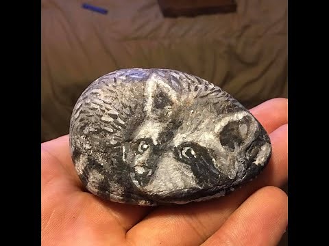 How to Paint Rocks like Realistic Animals