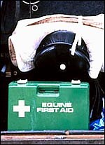 Dealing with foreign bodies in the foot - Horse & Hound