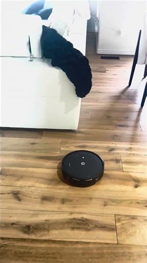 iRobot Roomba Vacuum 2 Essential Robot with AutoEmpty Dock, 3 Suction Levels, Latest Floor Tracking