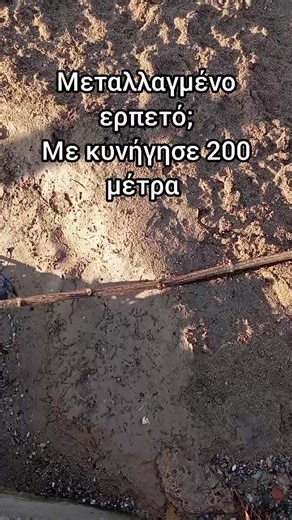 Every December when the month is...... warm