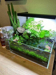Using Old Aquarium Water In New Tank - Aquariumia