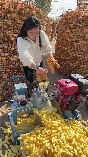 Corn Processing: A Quick and Efficient Way to Remove Corn Kernels with a Machine