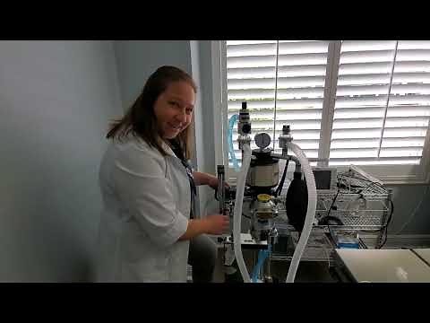 Ask the Vet - Anesthesia machine