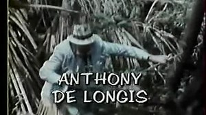 L'homme au katana (1984) French E10 Le tigre de java