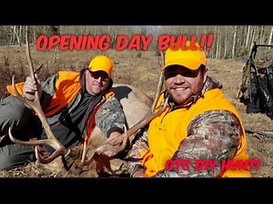 My First Colorado Elk OTC 2nd season experience 2020