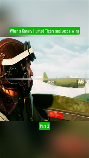 Blue Paw Print on TikTok