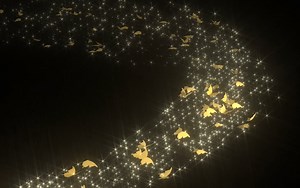 蝶が羽ばたきながら舞い上がるイメージCG | 株式会社フィジカルアイ