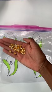 4.1K views · 29 reactions | CORN COUNTING SENSORY BAG...