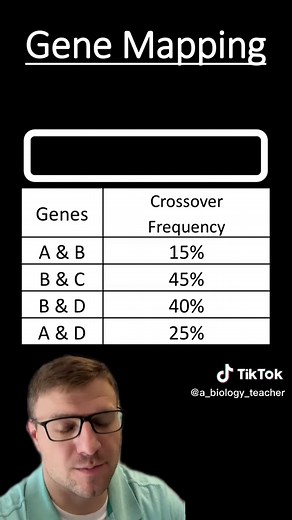 Gene Mapping: Understanding Gene Locations on Chromosomes