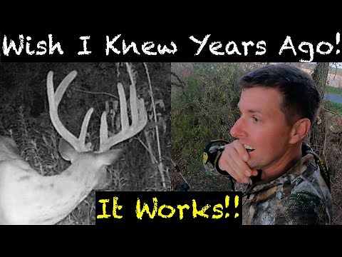 Top 5 Deer Hunting Secrets To Shoot Nocturnal Big Bucks!