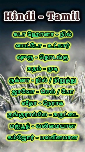 Daily 🙋 Hindi Words Tamil | hindi to tamil learning | how to learn hindi #tamil #hindi