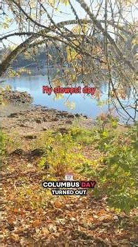 My slowest day #dogwalker #dogmom #smallbusiness #smallyoutuber #entrepreneur