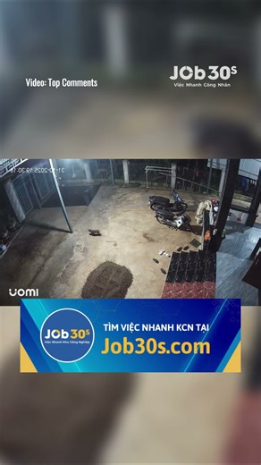 Chỉ người nuôi thú cưng mới hiểu