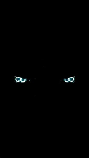 𝓶𝓪𝓺𝓼𝓾𝓭.𝓻𝓮𝓴𝓴 on Instagram: "日本利用压电瓷砖将脚步转化为电能。这些瓷砖捕捉来自你脚步的动能。当你行走时,你的重量和动作会对瓷砖产生压力。瓷砖会轻微弯曲,从而产生机械应力。瓷砖内部的压电材料将这种应力转化为电能。每一步都会产生少量电荷,而数百万步结合在一起就能产生足够的电力来驱动 LED 灯、数字显示屏和传感器。在像涩谷车站这样繁忙的地方,每天大约有240万个脚步为这一系统作出贡献。这些电能可以被储存或立即使用,从而减少对传统电力来源的依赖,并支持可持续的城市基础设施。这种方法将日常运动转化为实用的可再生能源#日本# 知识 #事实 #你知道吗 #推荐#科技 #创新 #历史 #技术 #实验 #热门"