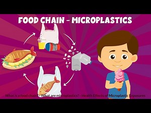 What is a Food Chain? - Definition, Types, Examples - Microplastics - Learning Junction - Videos For Kids