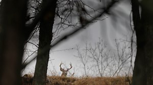 How fair is the chase?