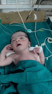 20K views · 276 reactions | Watch this heart-touching video of a...