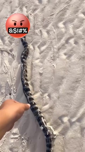 2.9K views · 2.7K reactions |  | Milkshake Morning Show | Facebook