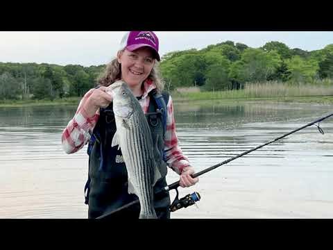 June 11 Cape Cod Fishing Report | Squid, Stripers, and Sea Bass with Amy Wrightson of Sports Port
