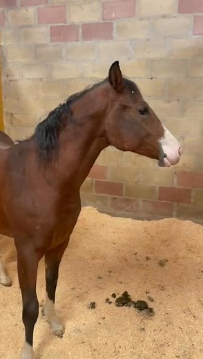 Ruth Reynolds Hartman on Reels | Facebook