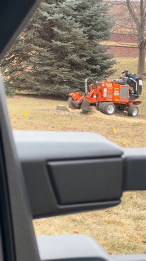 Neles Stump grinding on Instagram: "Working remotely! Or hardly working?!? 😹💪👋🍻 #stumpgrinding"