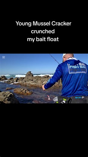 Exciting Rock Fishing for Young Mussel Cracker