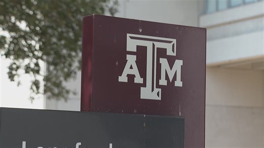 Fired professor says Texas A&M 'ran roughshod' over her rights in new lawsuit