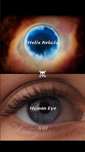 Do We Live in A Human Body? 💀🤯 #Shorts #Space #Astronomy #Universe #Earth #Biology