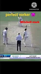 Starc vs Karun Nair 😈💯#cricket#trending #ipl2025#tiktok @StudyAcademy7 @lCC#song#shortsfeed