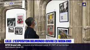 1.3K views · 16 reactions | ️ Photos inédites, accessoires, affiches… l'exposition Belmondo a ouvert ce week-end au palais Rihour de Lille | BFM Grand Lille | Facebook