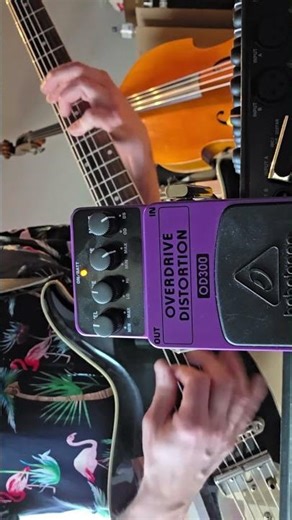 Eastwood Sidejack Baritone vs Behringer OD300 Overdrive Distortion