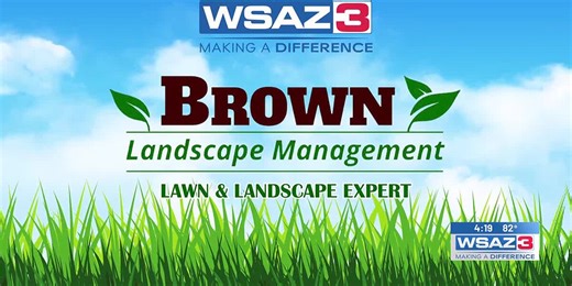 Lawncare tips with Brown Landscape Management