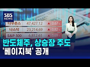 반도체주, 상승장 주도…'베이지북' 공개 / SBS / 뉴욕증시