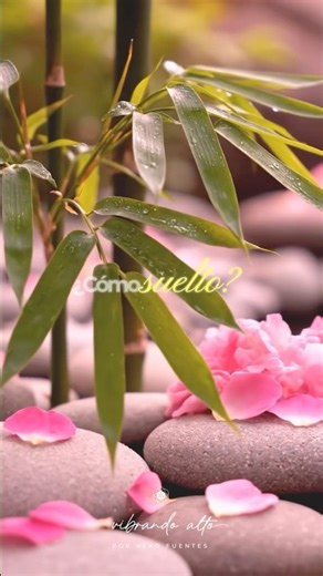 Episodio completo en el canal | Co-crea tu año✨