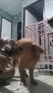 1.7K views | Nano Silver Philippines By Nature's on Reels | Facebook