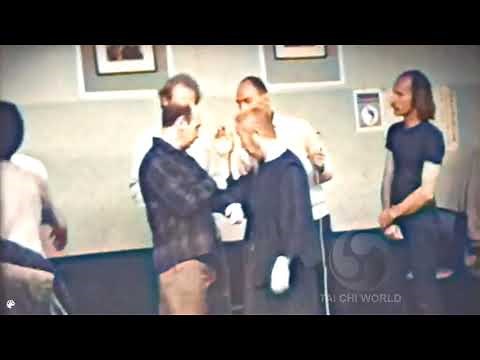 Cheng Man Ching PUSH HANDS and FAJING superb quality in colour